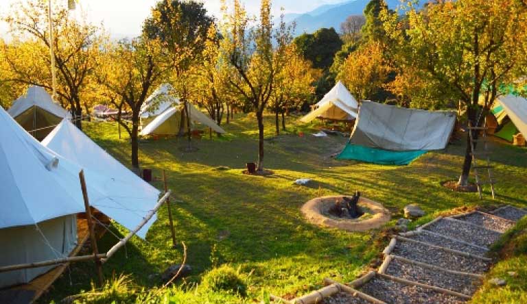 Paragliding In Bir Billing, Bir Package