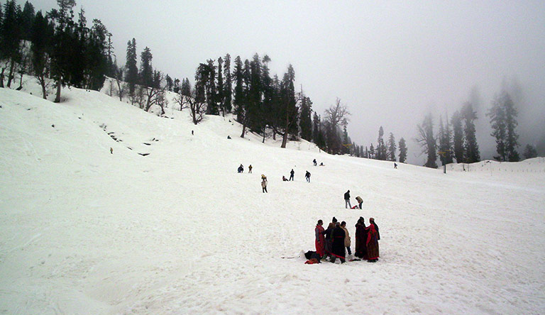 Apple Valley Resort, Kullu Honeymoon Package photo 6
