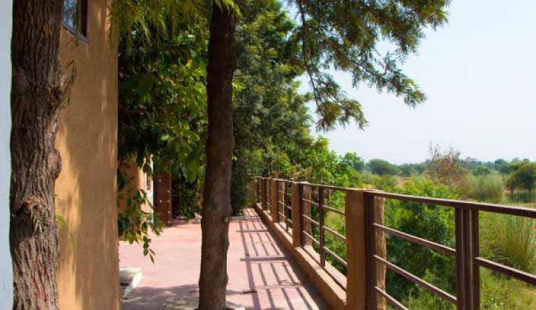 Weekend Getaway - Surjivan Resort, Delhi - Jaipur Highway photo 5