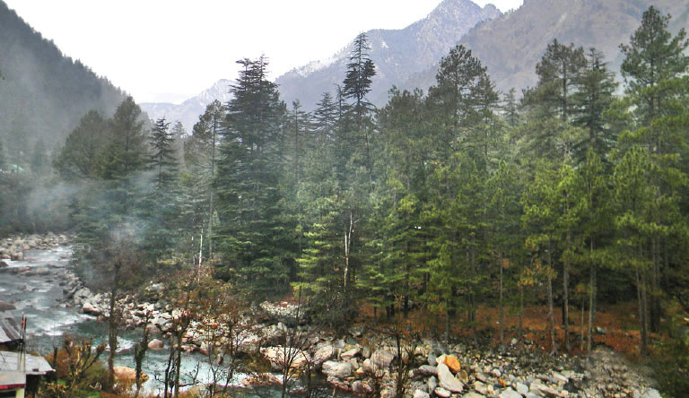 Apple Valley Resort, Kullu Honeymoon Package photo 5