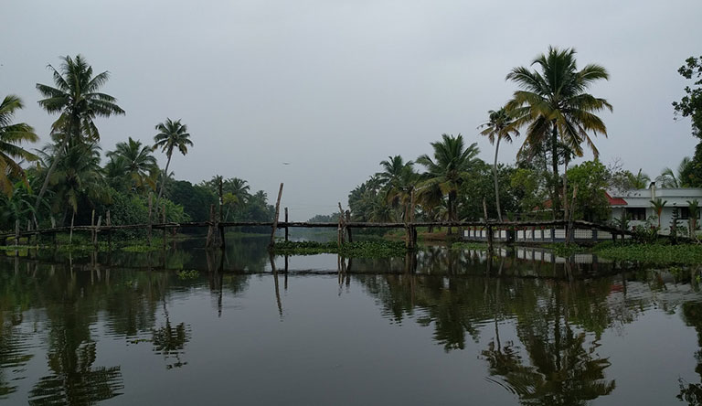 Itty Bitty Kerala