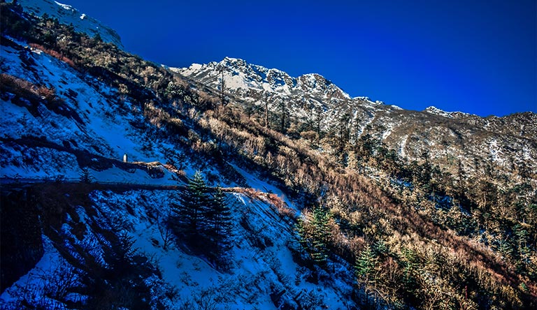 Dazzling Darjeeling with Sikkim Surprises