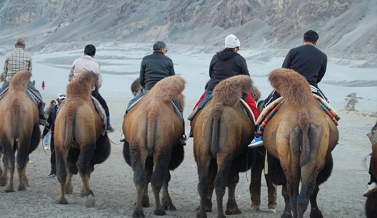 Silk Route Mosaics of Leh with Nubra