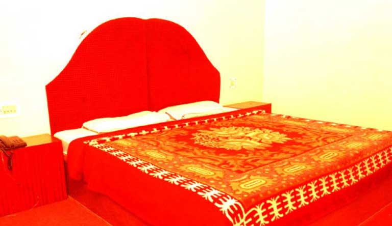 Hotel Seagull Manali Package photo 6