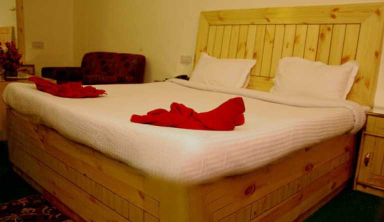 Hotel Seagull Manali Package photo 5