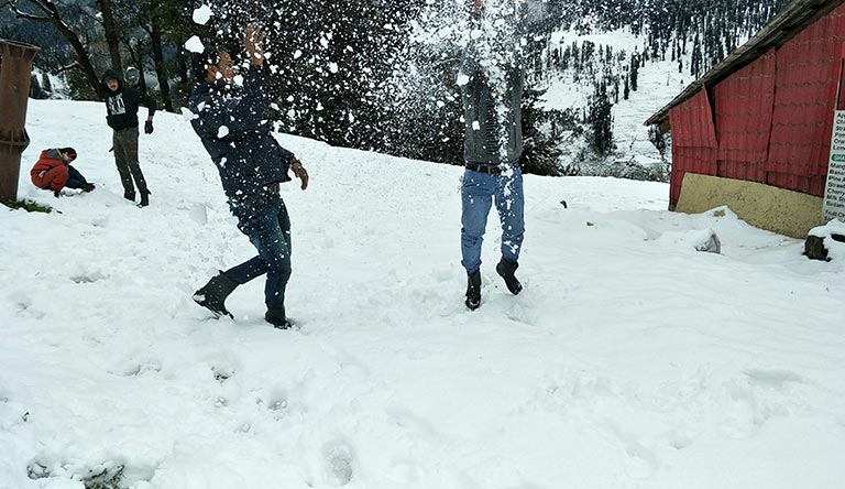 Citrus Manali Resorts Honeymoon Package