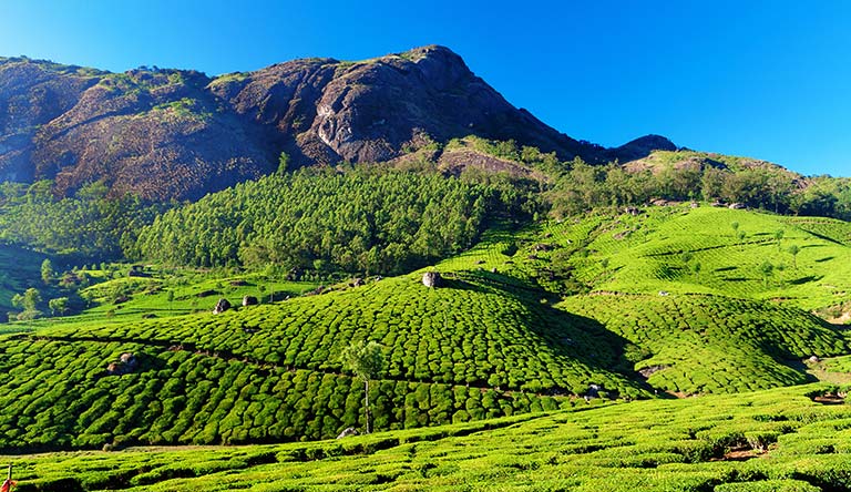 Tranquility at Kerala