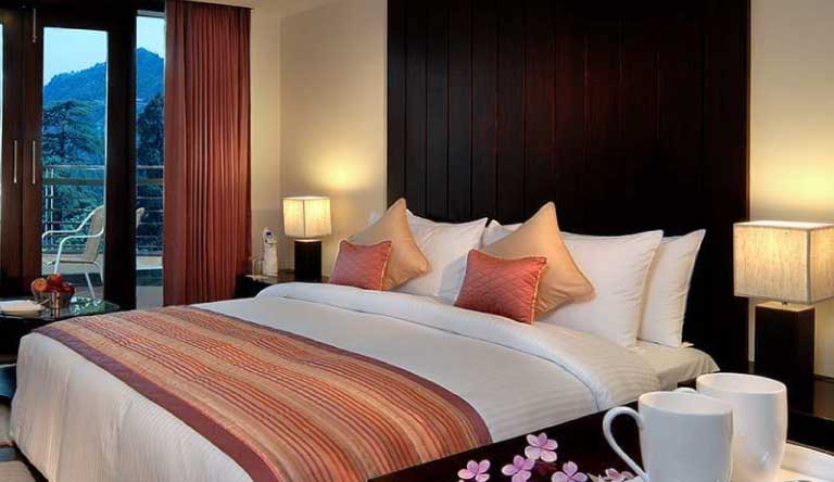 Fortune Grace, Mussoorie Package photo 5