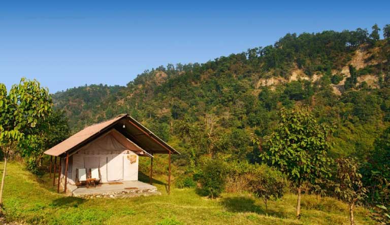 The Forrest, Rajaji National Park Package photo 6