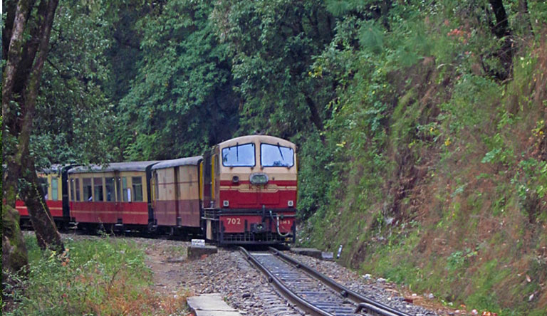 East Bourne - A Pine Forest Resort, Shimla Package