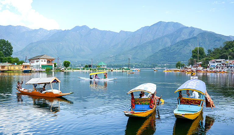 Distinctive Srinagar Package