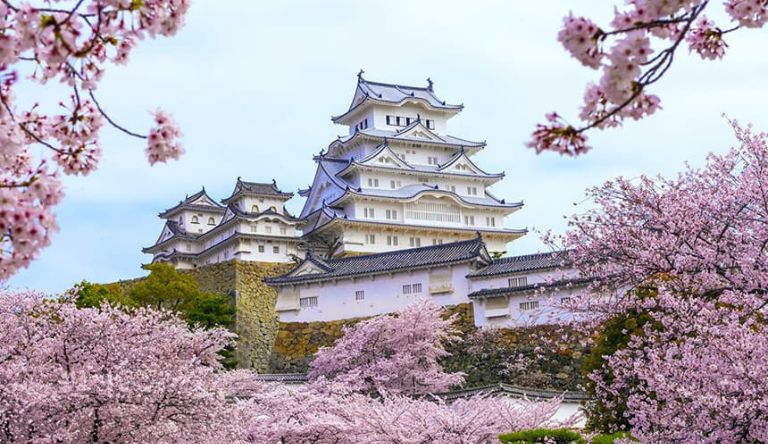 Discover South Korea & Japan photo 6