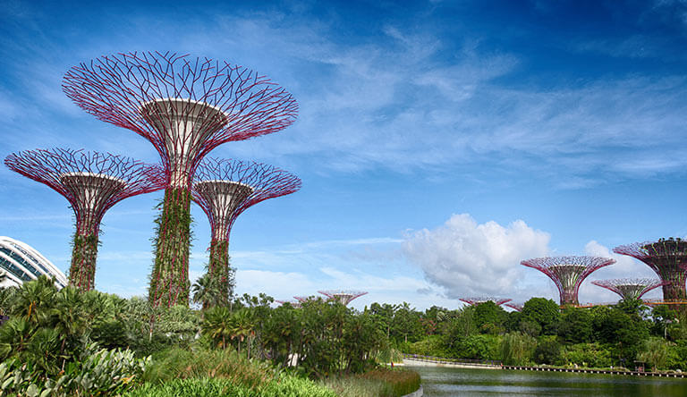 Peppy Singapore