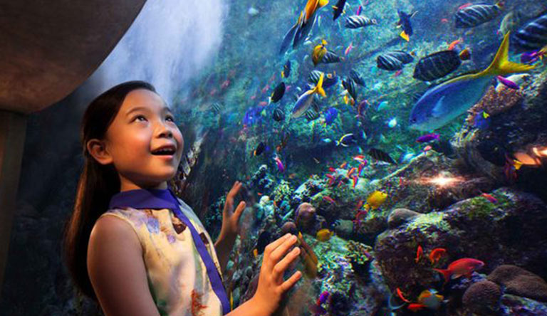 Dubai Atlantis Hotel Package photo 6