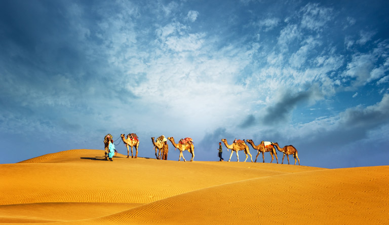 Dazzling Dubai