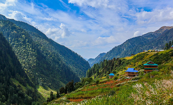 Himachal
