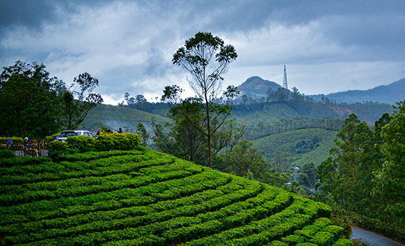 Munnar