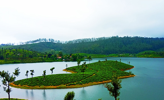 Tamil Nadu