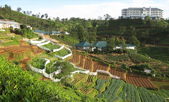 Nuwara Eliya
