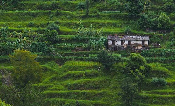 Almora