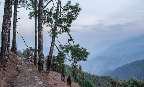 Binsar